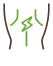 Muguras sāpes