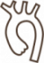 Aortas problēmas